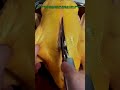 만능 주방 가위의 강력한 활용법