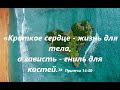 «Кроткое сердце - жизнь для тела, а зависть - гниль для костей» Притчи 14:30. Руслан Гринюк