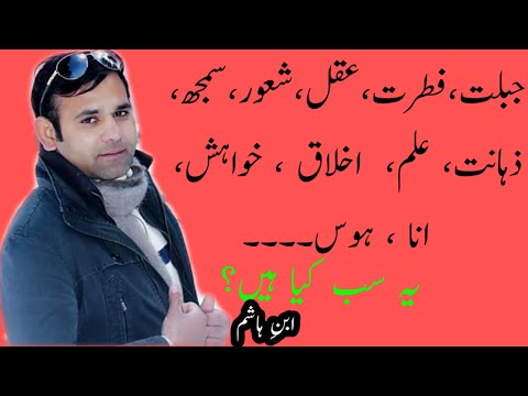 Falsfa!جبلت،فطرت،عقل،شعور،سمجھ،ذہانت، علم،  اخلاق ، خواہش،  انا ، ہوس، یہ الفاظ ہیں کیا؟