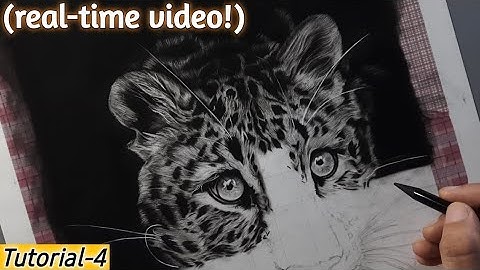Realistic Leopard Drawing Tutorial |Real-time Video | Episode-4