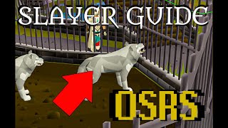 How to kill a WOLF in OSRS (GUIDE) (not clickbait!)