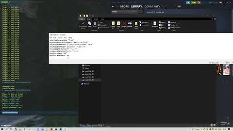how to set physics.steps 60 permanently in Rust "patched"* 😢