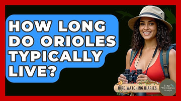 How Long Do Orioles Typically Live? - Bird Watching Diaries