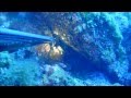 Video n 6 pesca de acantilado en Mallorca (anfosset)