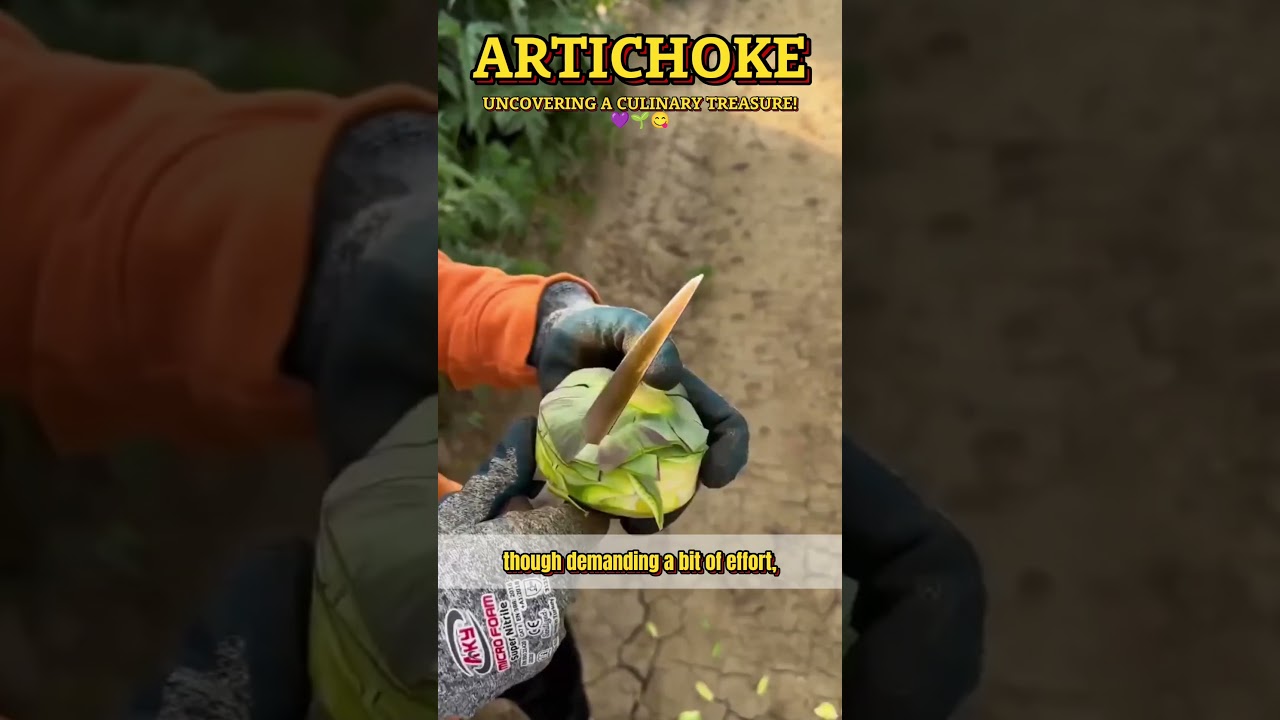 ARTICHOKE: UNCOVERING A CULINARY TREASURE! 💜🌱😋 