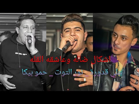 اشكال ضاله وعاشقه القله عدو الجدعنة علي قدورة نور التوت حمو بيكا توزيع فيجو الدخلاوي 2024