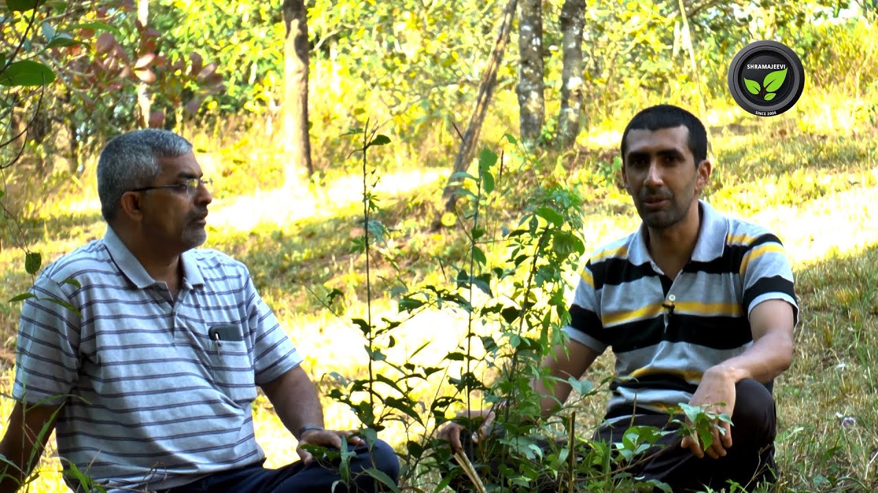 ಜೇನು ಕೃಷಿ ಆರಂಭಿಸುವುದು ಹೇಗೆ - ಶ್ರೀ ರವೀಂದ್ರ ಹೆಗಡೆ | Secrets to Start a Good Honeybee Cultivation