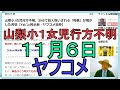 山梨小1女児行方不明、SNSで犯人扱いされる「母親」が明かした苦悩【Yahoo掲示板・ヤフコメ抜粋】