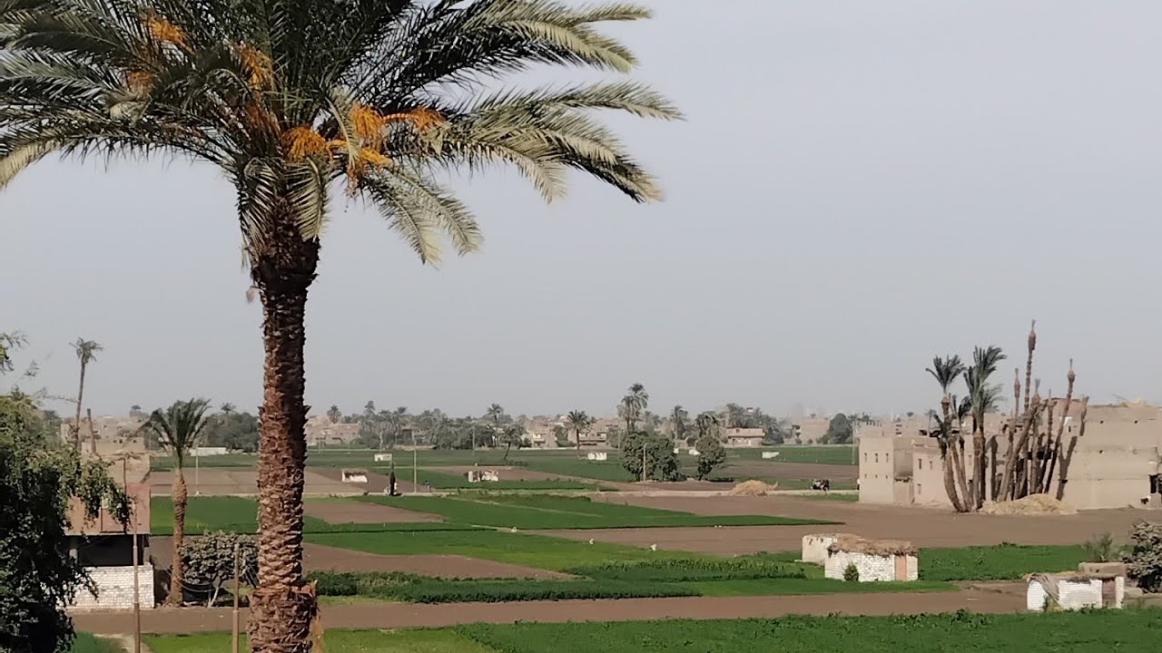 #الريف_المصرى وجمال #حياة_القرية 