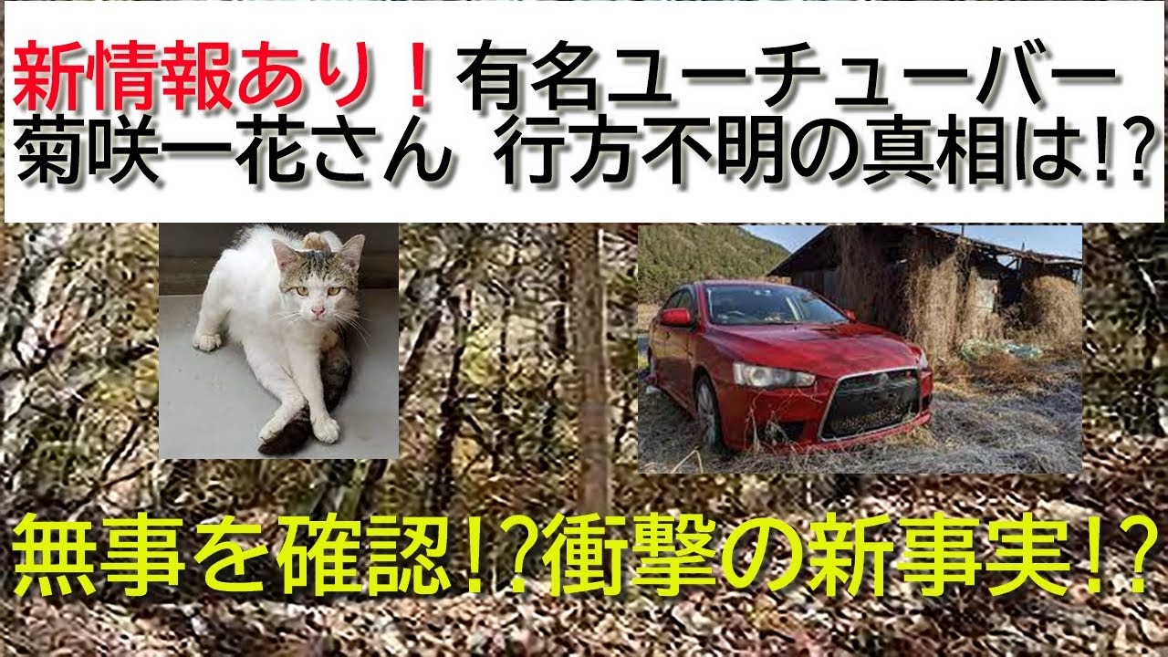 衝撃の新事実 有名ユーチューバー 菊咲一花さん 今後の活動は 廃墟探索は無理な時代に Youtube