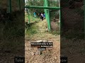 Trapped for 25 Years | the fight to free Baloo the bear in Romania