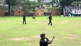 A K9 performance demonstration
