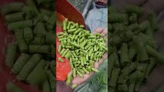 Thumbnail of مكبس اعلاف فيتنامي انتاج 500 كيلو محرك 15 حصان نظام عمود قوة جودة ضمان