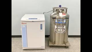 Thermo Cryoplus 2 Cryogenic Storage System Video ID 30509