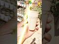 “कुल्हड़ वाली चाय ☕ = देसी स्वाद + प्रकृति का साथ 🌱क्या आपने ट्राय किया?”👍