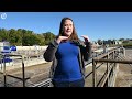 How is wastewater cleaned? An engineer explains the process