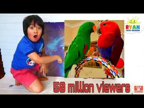 Let's parrot Build A Robot Kids Song | Body Parts Exercise and Dance for Children | Ryan ToysReview