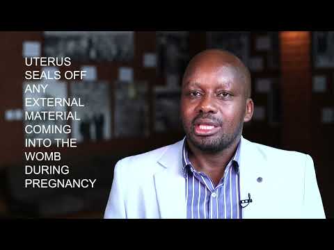 هل ممارسة الجنس آمنة أثناء الحمل 