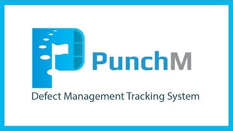 PunchM | The go-to defect management tracking system | goPLIMS Ireland​