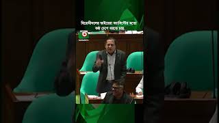 বিরোধীদলের ভাইয়েরা ফ্যা'সিস্টের মতো কণ্ঠ চেপে ধরতে চায় | BNP | Jamaat | Freedom of Speech | News