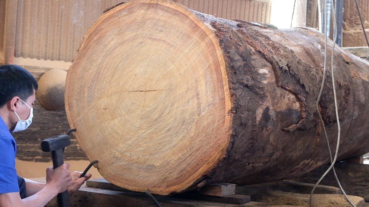 Amazing Incredible Wood Sawmill Operation / Awesome Big Wood Cutting ...