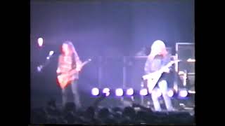 Megadeth - This Was My Life (Essen, 1995)