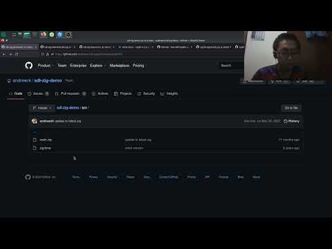 How to use raylib on Zig
