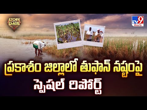Story Gate: ప్రకాశం జిల్లాలో తుఫాన్ నష్టం పై స్పెషల్ రిపోర్ట్ - TV9 - TV9
