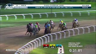 Vidéo de la course PMU PREMIO SHAMPAIN 2016 (DEUXIEME PELOTON)
