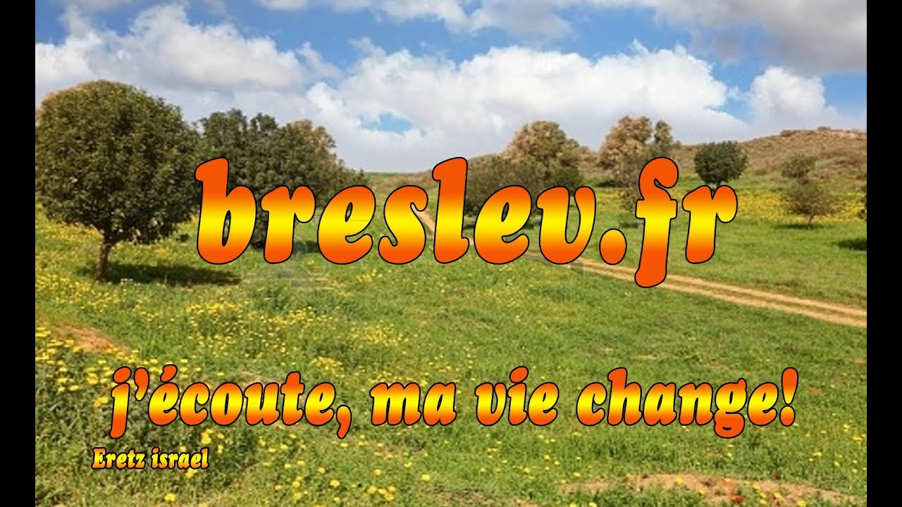 La honte fait pardonner toute les erreurs.