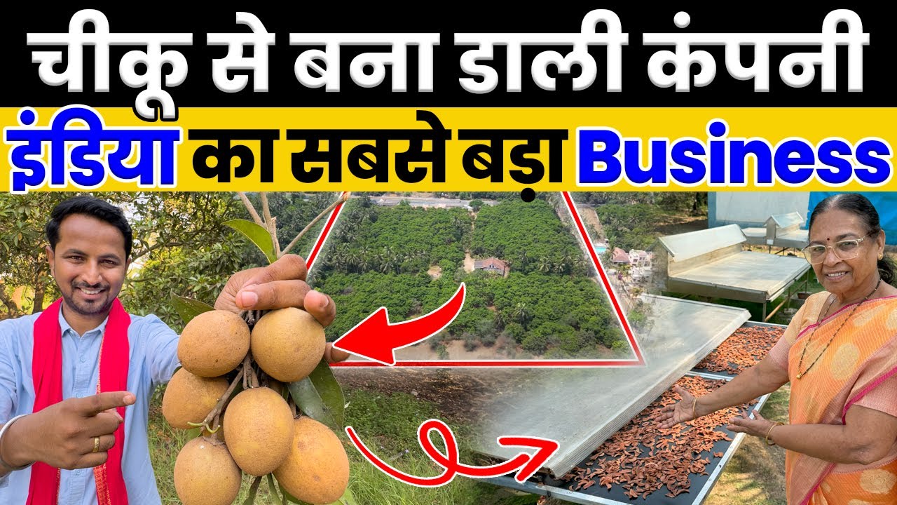 25000 एकड़ का सबसे बड़ा Chikoo Farm😱💯साल की कमाई 40 लाख से ज्यादा🤑🔥Indian Farmer