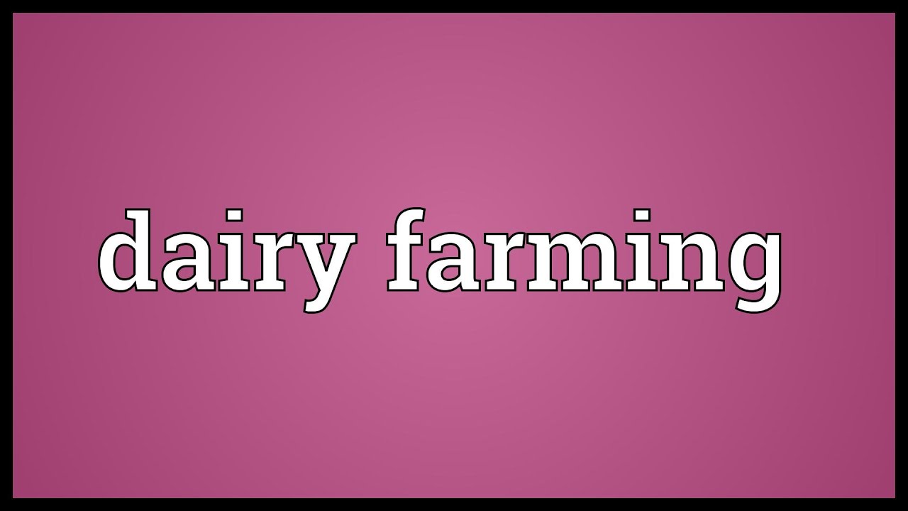 Dairy farming Meaning