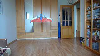 Home Arlequin Flying