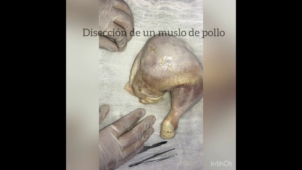 Deshuesar muslo de pollo