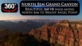 Amazing 360° VR Walk on the North Rim of the Grand Canyon from the Lodge to Bright Angel Point