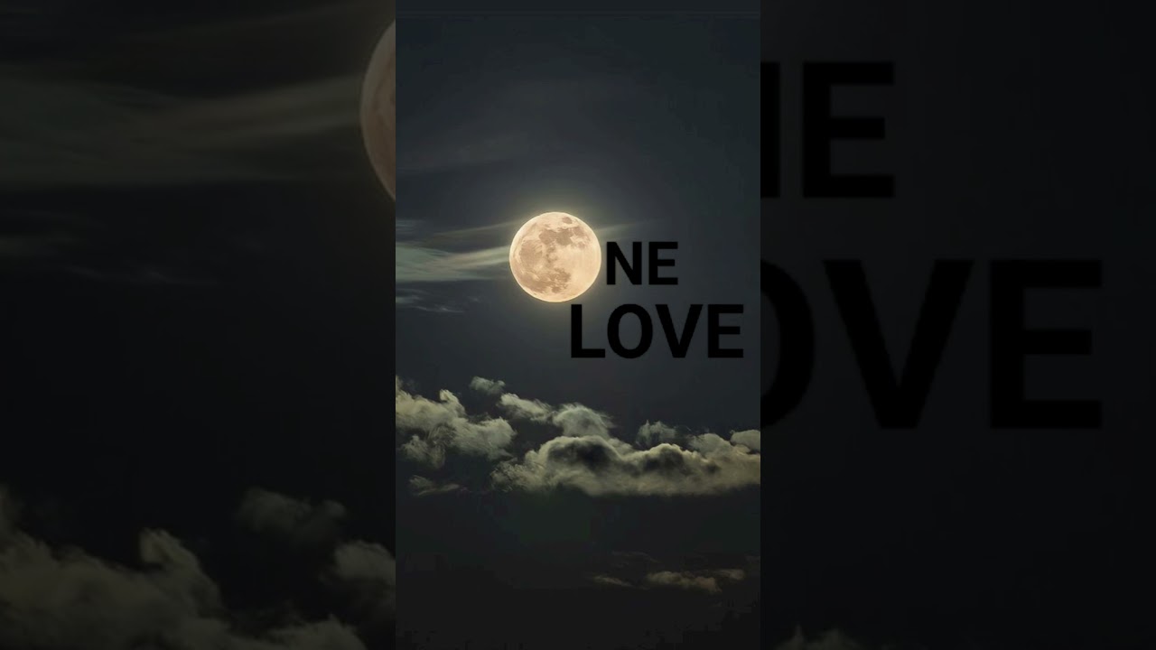 ❤️ONE LOVE❤️ #trending#ideas#photo