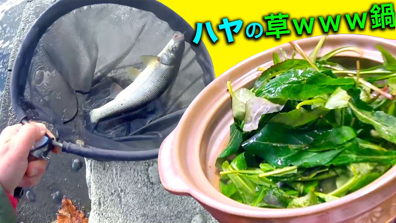 いつもの河原で魚釣り【寒バヤと草ｗｗｗの鍋】