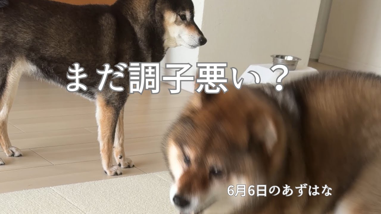 完全復帰までもう少し？