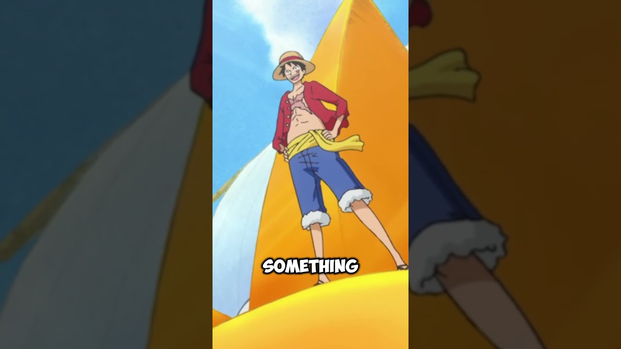 -ONE PIECE