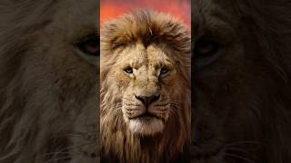 The Lion Kings Family Tree Is Weird