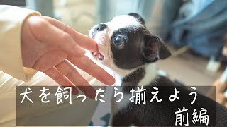 【コスパ重視】犬を飼う前に準備するおすすめ１０選（前編）/【犬グッズ】