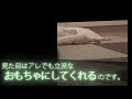 【ferret movie】とりあえずおもちゃにしてくれるフェレット