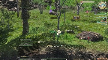 FFXIV - Island Apple/Beehive Chip route