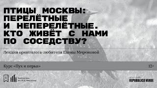 «Птицы Москвы: перелётные и неперелётные» Лекция орнитолога-любителя Елены Мироновой