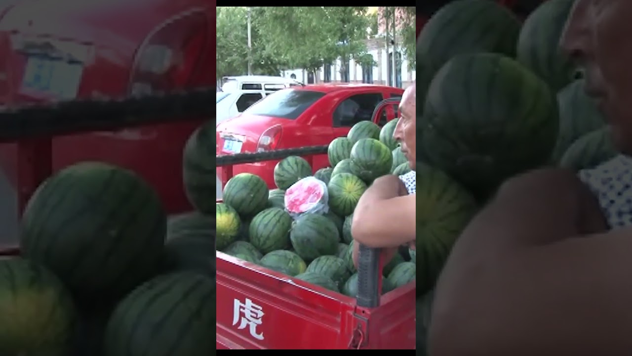 ЧТО ЧОКАН ВАЛИХАНОВ В КУЛЬДЖЕ ДЕЛАЛ