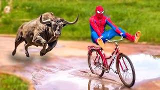 Homem Aranha e A Bike Nova do KID ARANHA - ( Histórias de Super Heróis )