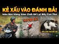 Team dương kc hoang mang mèo mẹ gặp nạn giải cứu 3 chú mèo con đáng thương