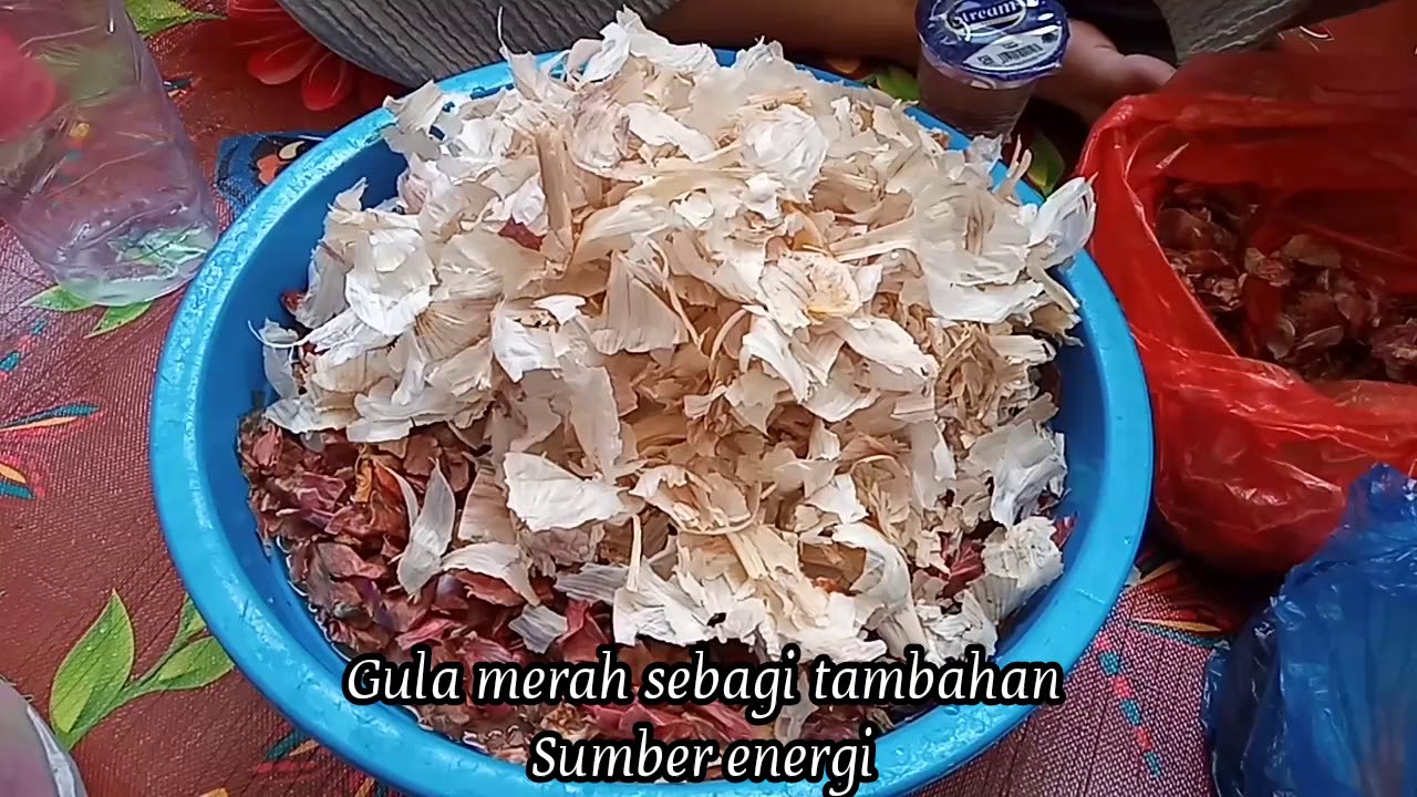  CARA MEMBUAT POC DARI AIR CUCIAN BERAS  KULIT BAWANG  