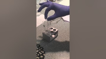 Synthesis of Fragrant Esters Part 2