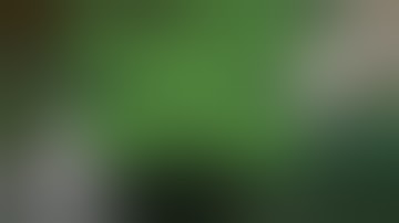 RDWC SEED TO HARVEST: WEEK 2 (Veg) | IN THE WEEDS